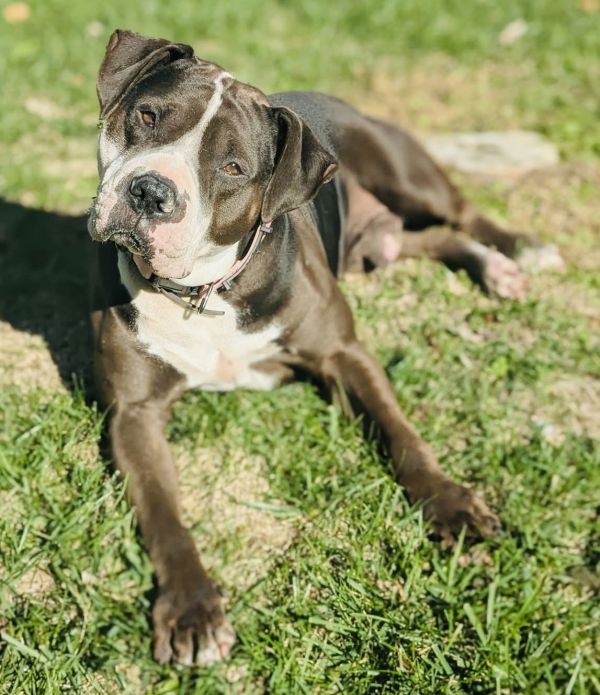 Rilo Gravy thumbnail 3