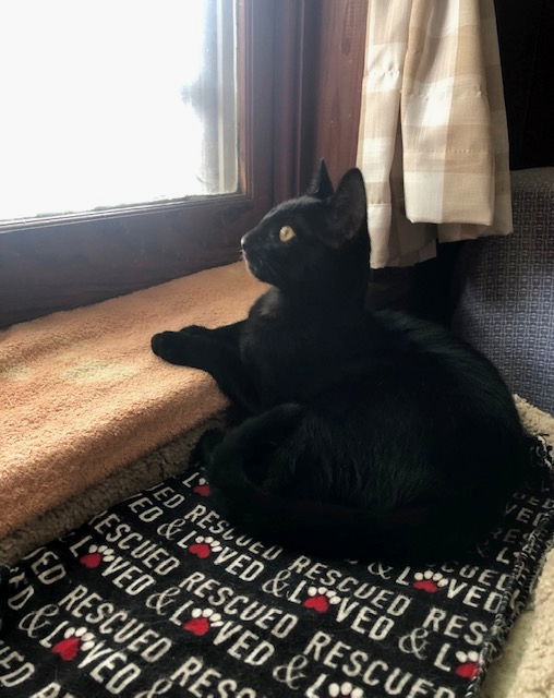 Feliciac thumbnail 2