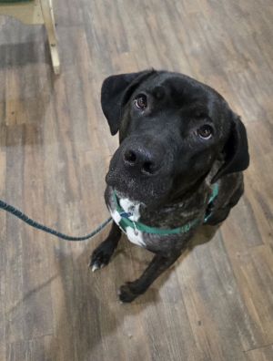 Fernie *Courtesy Post*