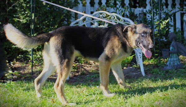 Logan-9 to 12 mths/Great Boy/Handsome &amp; Fun! $425