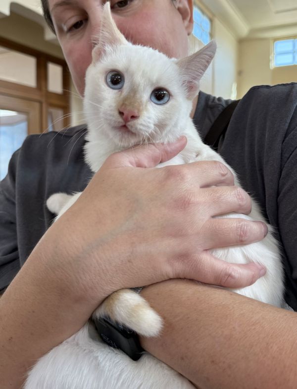 Bruce Banner ( Erin )