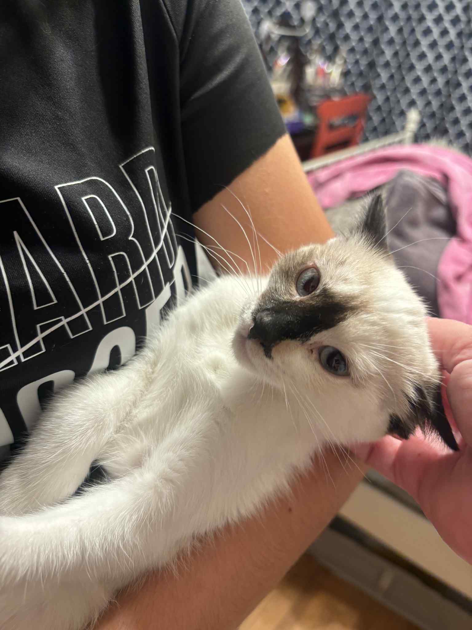 Natasha Romanoff ( Erin )