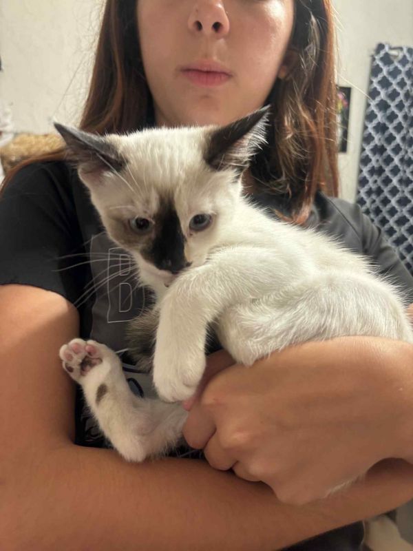 Natasha Romanoff thumbnail 2