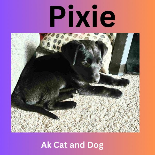 Pixie (FKA Eileen)