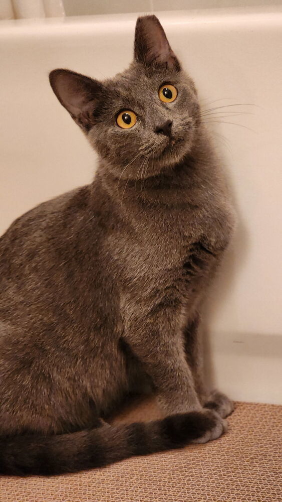 Bobby Bleu thumbnail 4