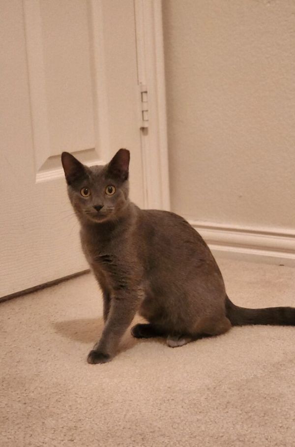 Bobby Bleu thumbnail 5