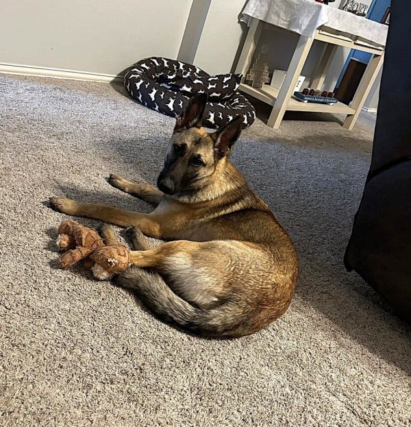 Winsome Willow  Located thumbnail 3