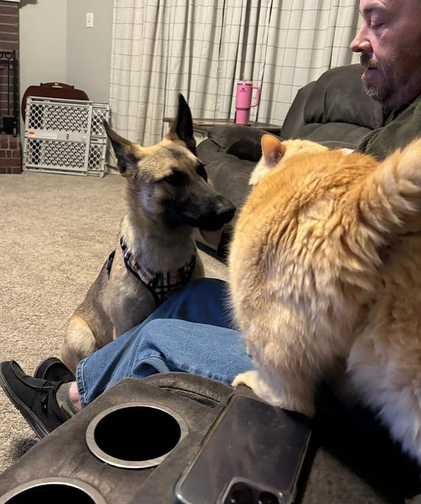 Winsome Willow  Located thumbnail 4