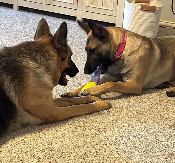 Winsome Willow  Located thumbnail 5