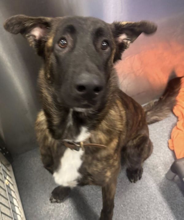 Buddha  Located In thumbnail 2