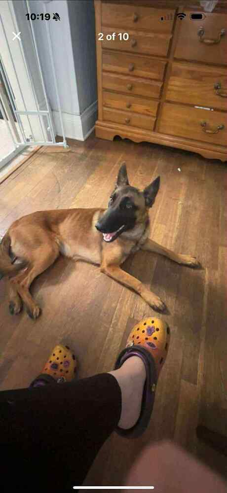 Lily Located In Kansas thumbnail 2