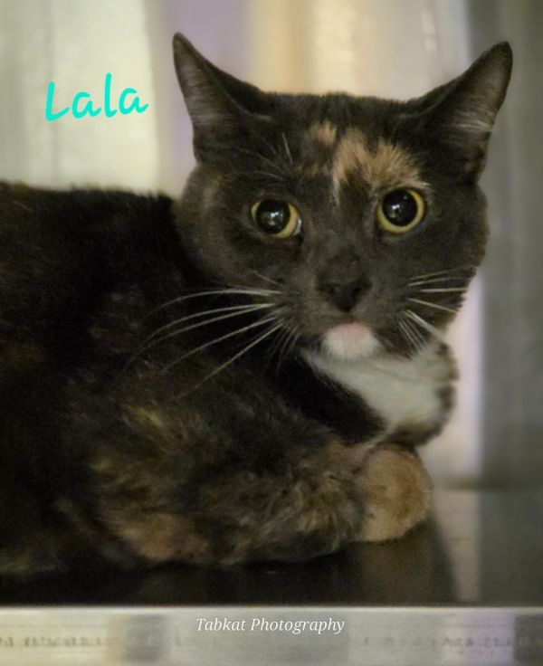 Lala