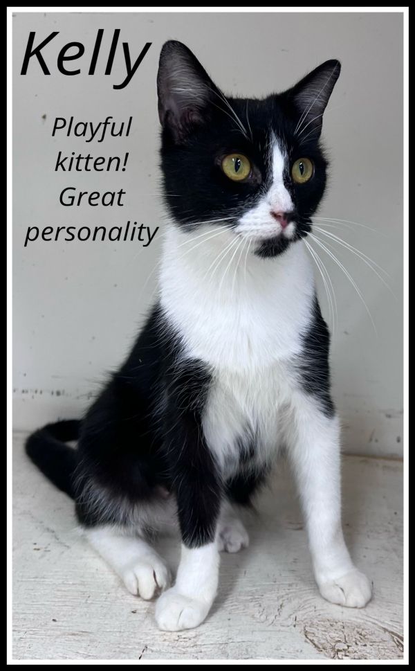 Kellywillow Grove photo 1