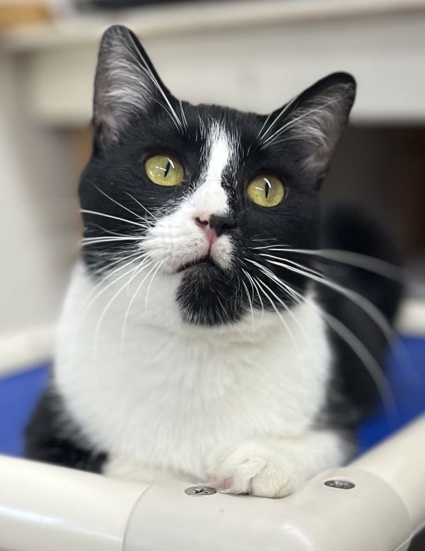 Kellywillow Grove thumbnail 6