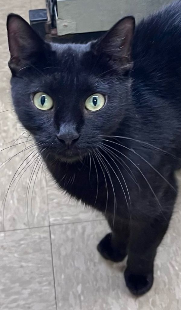 Jillwillow Grove thumbnail 2