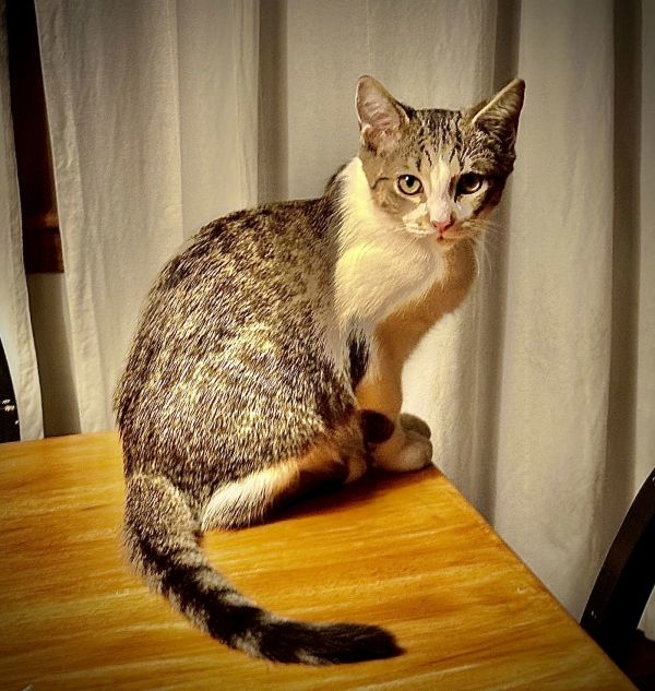 Charlles thumbnail 2