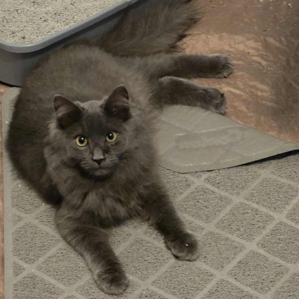 Adam - Located in Arnold, MD