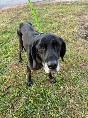 Lightning- Hold until EOD 11/7