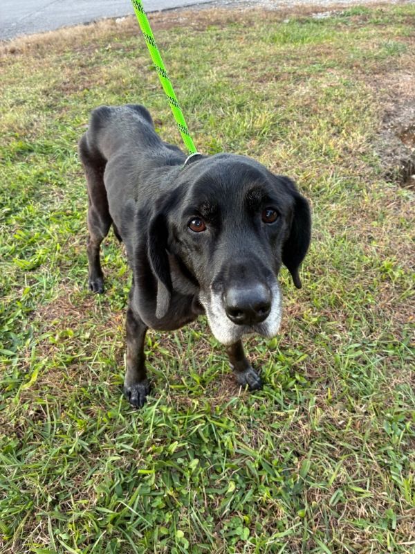 Lightning- Hold until EOD 11/7