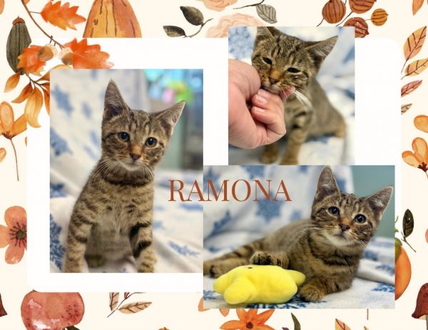 Ramona