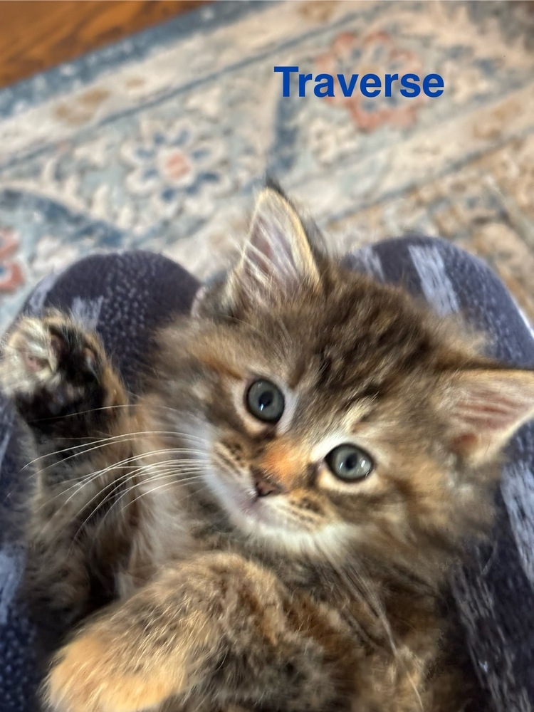 Traverse