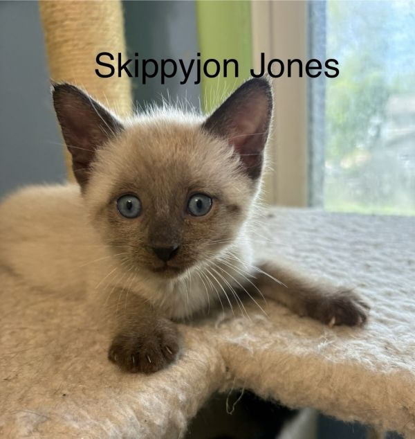Skippyjon Jones