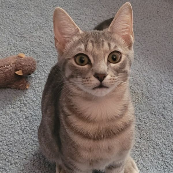 Jill (paired with Jackie)