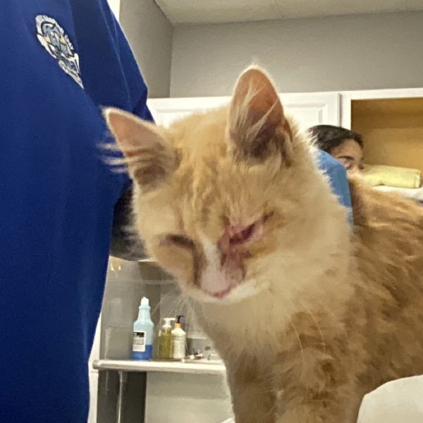 GCAC-Wildlife-115890