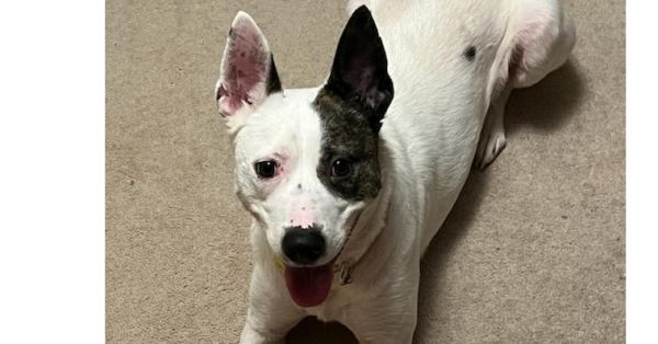 Booker J has a sponsor!