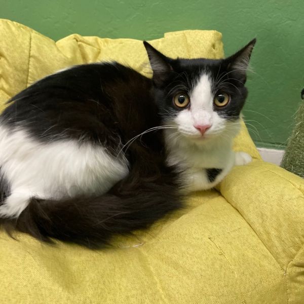 Big Spot / Little Spot