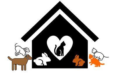 GenericCatAdoptionCollage