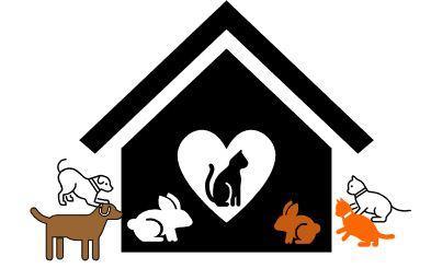 GenericCatAdoptionCollage