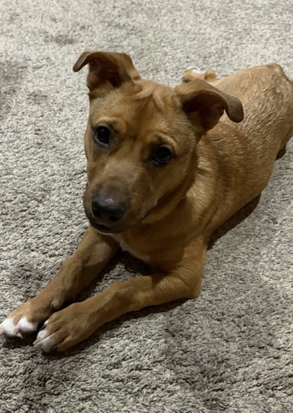 Jax fka Cinnamon Sprout