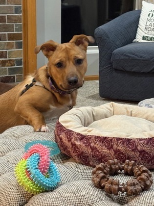 Jax fka Cinnamon Sprout