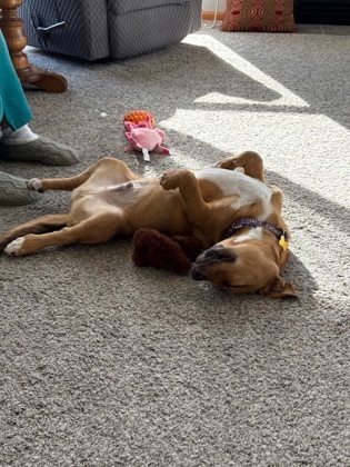 Jax fka Cinnamon Sprout