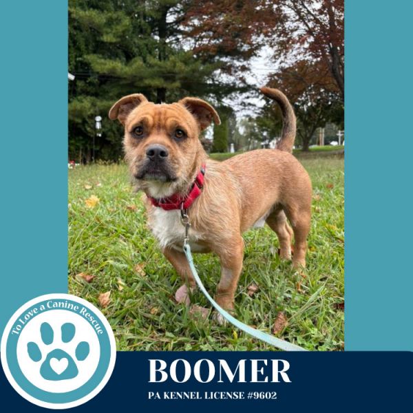 Boomer 101125
