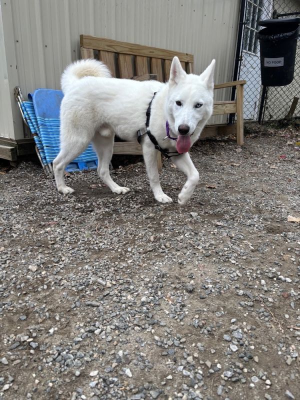 Miles Available 11/6