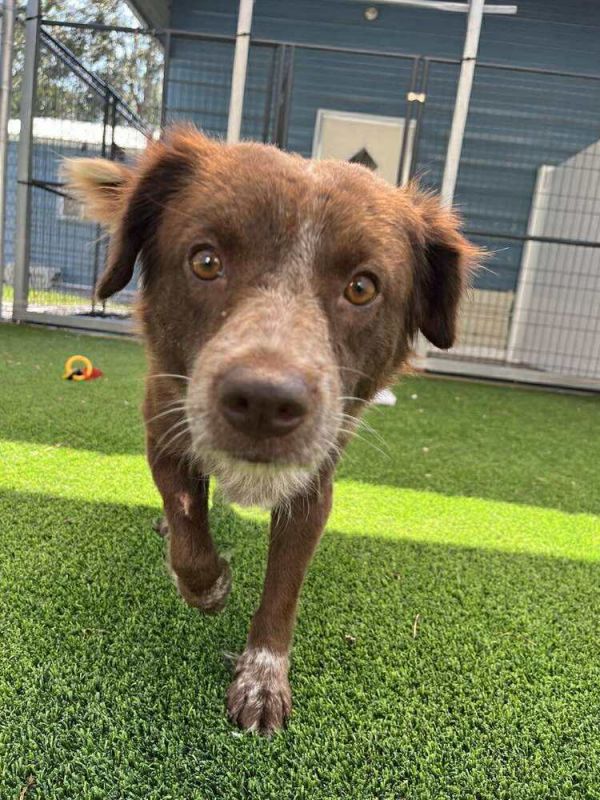 Matty Available 11/6