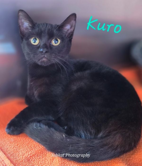 Kuro