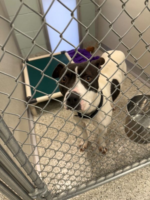 Half And Half thumbnail 2