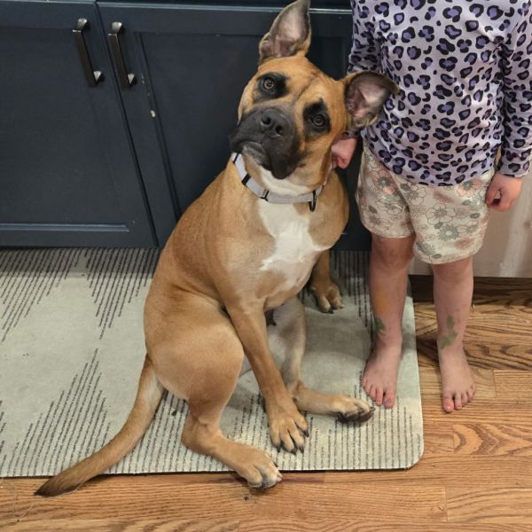 Aminita &#34;Nina&#34;