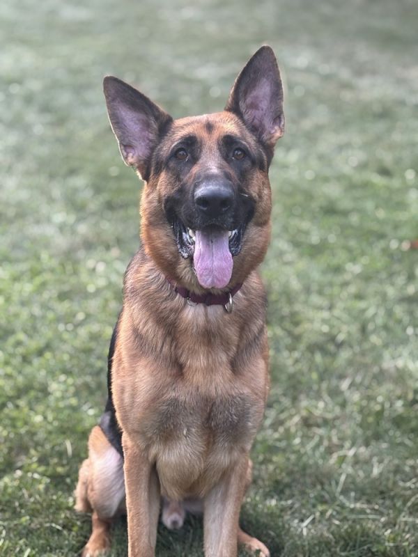 0922 Louie pka Nehemiah