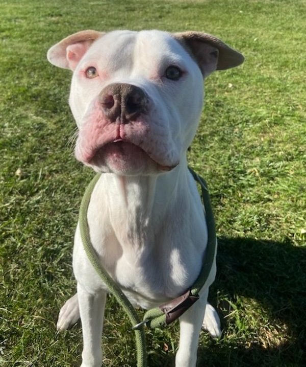 Phoenix- Call 402-441-4490 To Meet