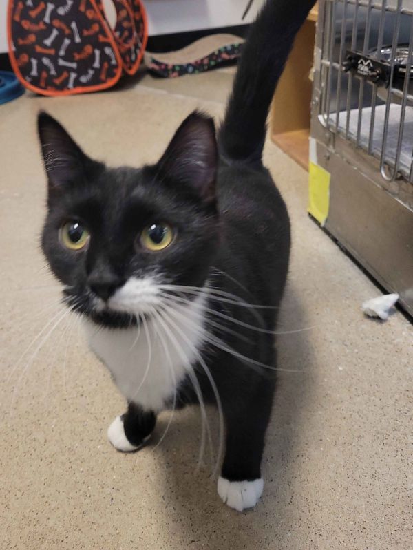 Christine (&amp; Daisy Mae) Bonded