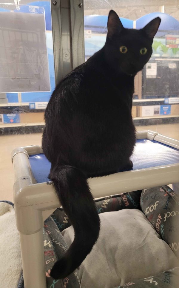 Daisy Mae (&amp; Christine) Bonded