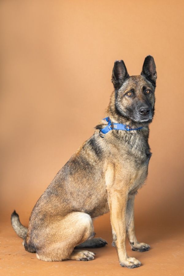 Cooper Roo thumbnail 3