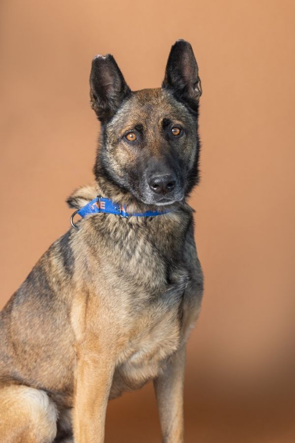 Cooper Roo thumbnail 4