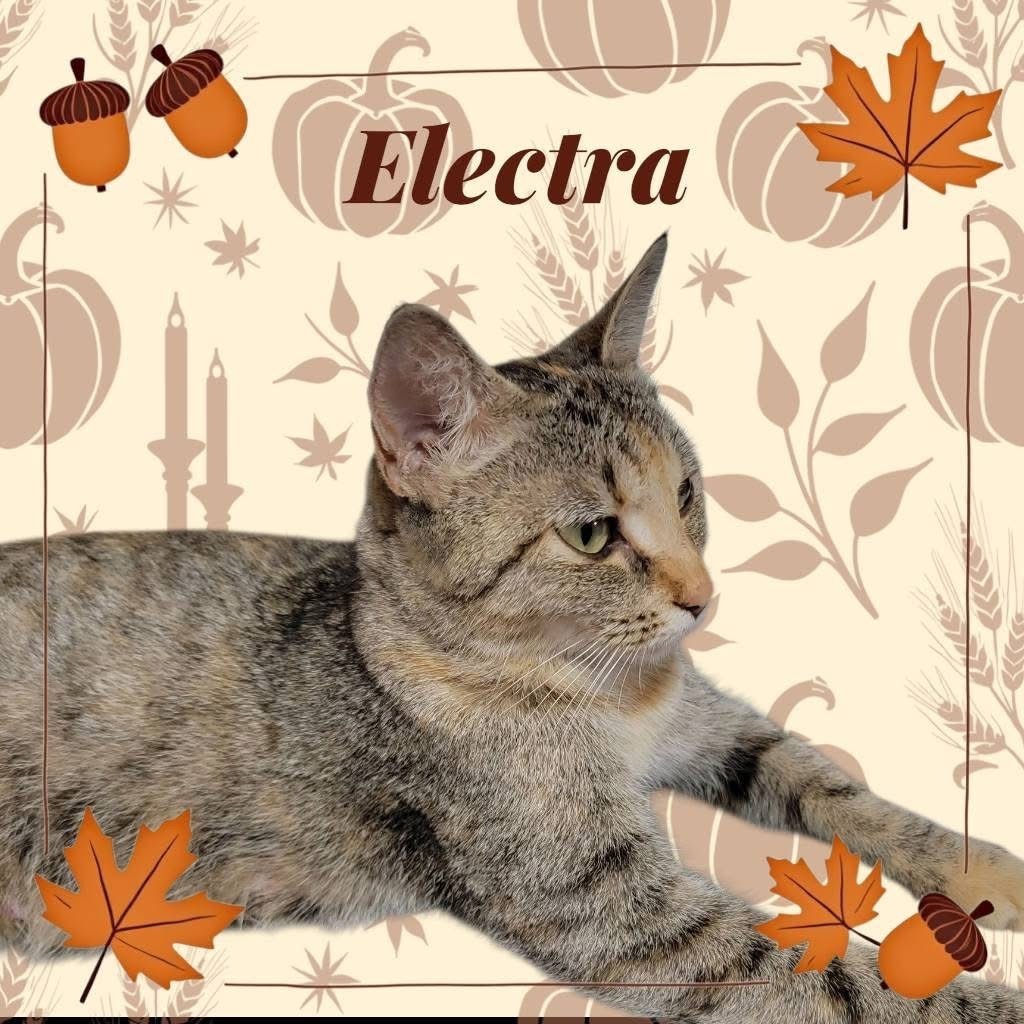 Electra-C