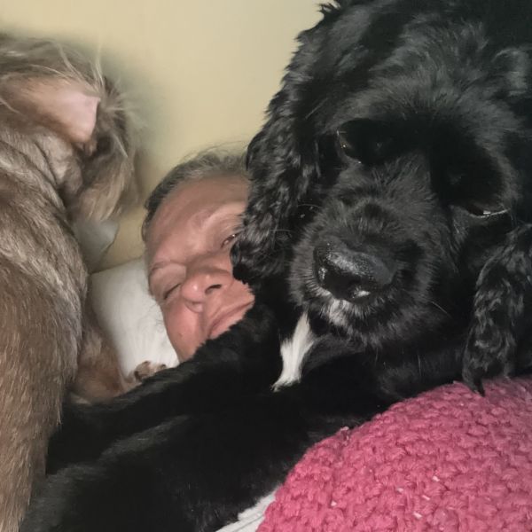 Josie Marie (Benefactor Dog)