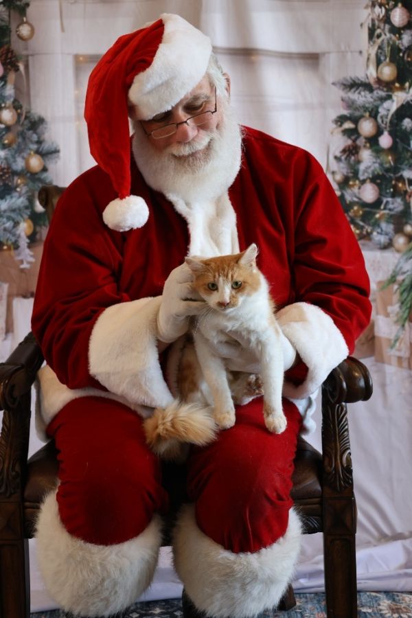 Charlotte thumbnail 4